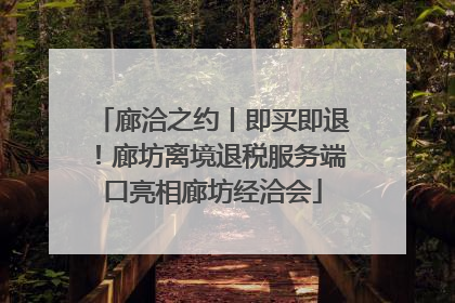 廊洽之约丨即买即退！廊坊离境退税服务端口亮相廊坊经洽会