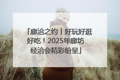 廊洽之约丨好玩好逛好吃！2025年廊坊经洽会精彩纷呈