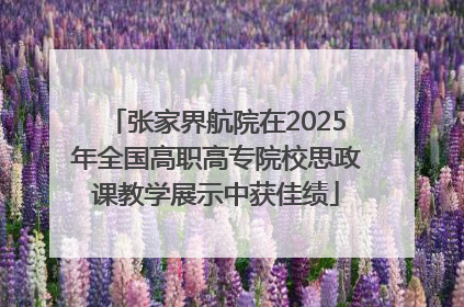 张家界航院在2025年全国高职高专院校思政课教学展示中获佳绩
