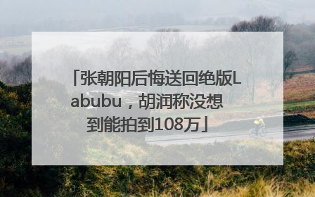 张朝阳后悔送回绝版Labubu，胡润称没想到能拍到108万