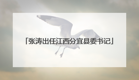 张涛出任江西分宜县委书记
