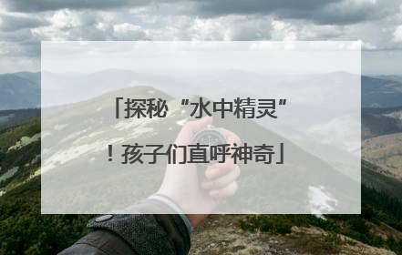 探秘“水中精灵”！孩子们直呼神奇