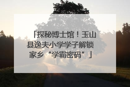 探秘博士馆！玉山县逸夫小学学子解锁家乡“学霸密码”