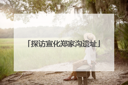 探访宣化郑家沟遗址
