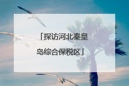 探访河北秦皇岛综合保税区