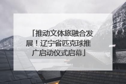 推动文体旅融合发展！辽宁省匹克球推广启动仪式启幕