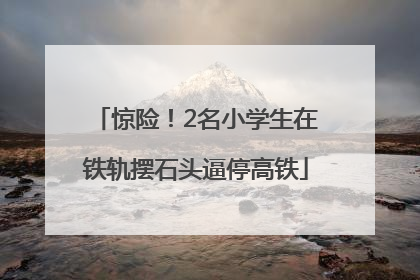 惊险！2名小学生在铁轨摆石头逼停高铁