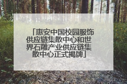 惠安中国校园服饰供应链集散中心和世界石雕产业供应链集散中心正式揭牌
