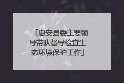 惠安县委主要领导带队督导检查生态环境保护工作