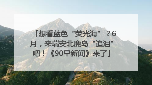 想看蓝色“荧光海”？6月，来瑞安北麂岛“追泪”吧！《90早新闻》来了