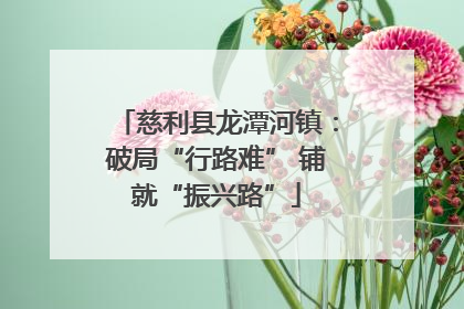 慈利县龙潭河镇：破局“行路难” 铺就“振兴路”