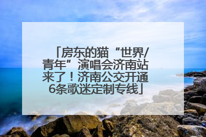 房东的猫“世界/青年”演唱会济南站来了！济南公交开通6条歌迷定制专线