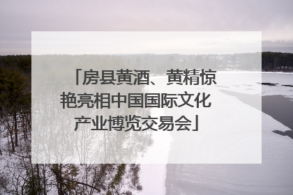 房县黄酒、黄精惊艳亮相中国国际文化产业博览交易会