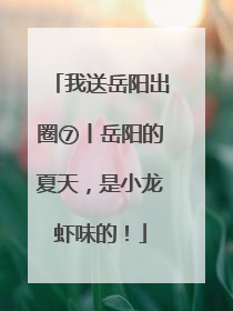 我送岳阳出圈⑦丨岳阳的夏天，是小龙虾味的！