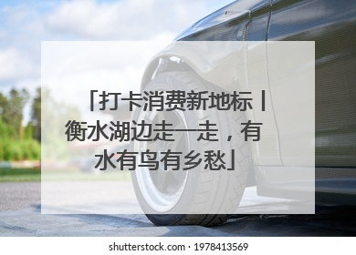 打卡消费新地标丨衡水湖边走一走，有水有鸟有乡愁