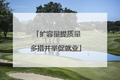 扩容量提质量 多措并举促就业