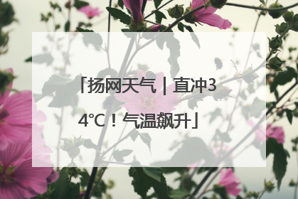 扬网天气｜直冲34℃！气温飙升