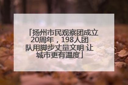 扬州市民观察团成立20周年，198人团队用脚步丈量文明 让城市更有温度