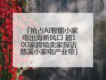 抢占AI智能小家电出海新风口 超100家跨境卖家探访慈溪小家电产业带