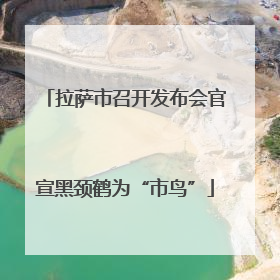 拉萨市召开发布会官宣黑颈鹤为“市鸟”