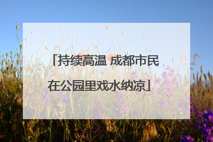 持续高温 成都市民在公园里戏水纳凉