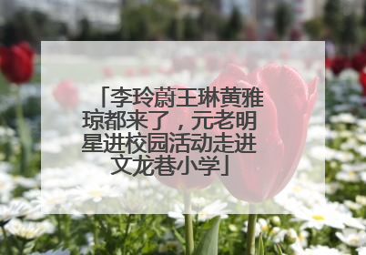 李玲蔚王琳黄雅琼都来了，元老明星进校园活动走进文龙巷小学