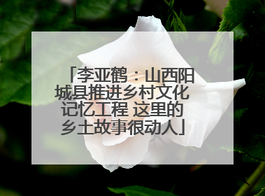 李亚鹤：山西阳城县推进乡村文化记忆工程 这里的乡土故事很动人