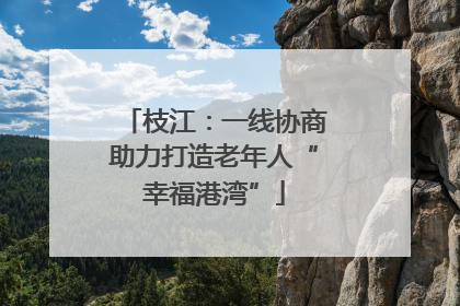 枝江：一线协商助力打造老年人“幸福港湾”