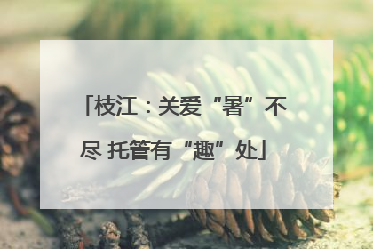 枝江：关爱“暑”不尽 托管有“趣”处
