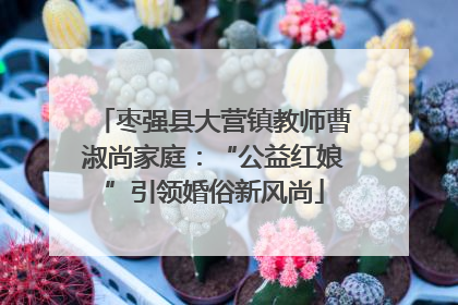 枣强县大营镇教师曹淑尚家庭：“公益红娘”引领婚俗新风尚