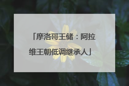 摩洛哥王储：阿拉维王朝低调继承人