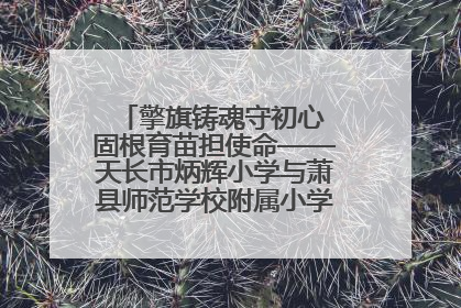 擎旗铸魂守初心 固根育苗担使命——天长市炳辉小学与萧县师范学校附属小学结对共建活动纪实