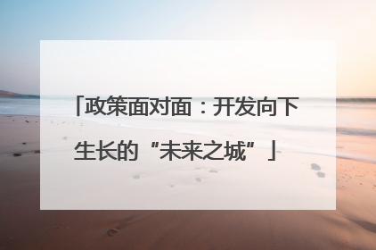 政策面对面：开发向下生长的“未来之城”