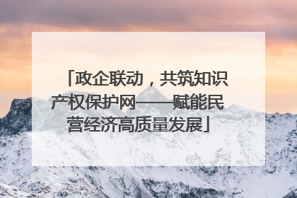 政企联动，共筑知识产权保护网——赋能民营经济高质量发展