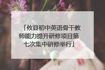 攸县初中英语骨干教师能力提升研修项目第七次集中研修举行