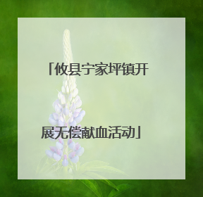 攸县宁家坪镇开展无偿献血活动