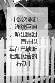 数次驱赶、连续巨响、呛出眼泪——直击以军在巴勒斯坦难民营的行动