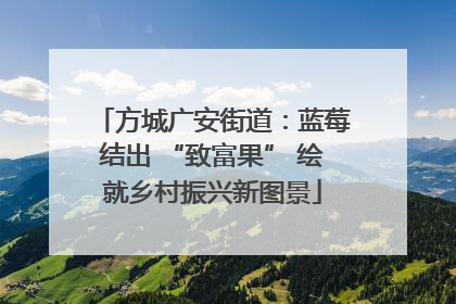 方城广安街道：蓝莓结出 “致富果” 绘就乡村振兴新图景