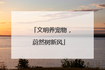 文明养宠物,蔚然树新风