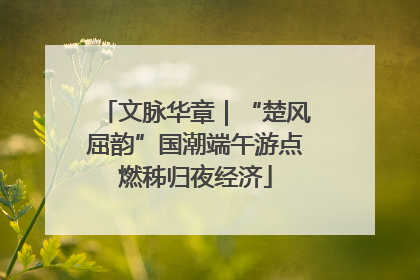 文脉华章｜“楚风屈韵”国潮端午游点燃秭归夜经济