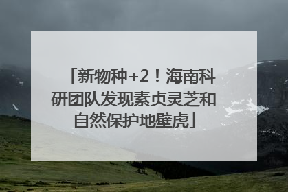 新物种+2！海南科研团队发现素贞灵芝和自然保护地壁虎