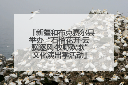 新疆和布克赛尔县举办“石榴花开·云骥逐风·牧野欢歌”文化演出季活动