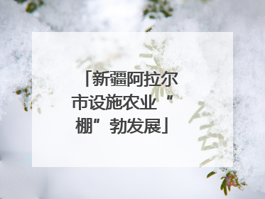 新疆阿拉尔市设施农业“棚”勃发展