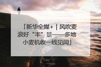 新华全媒+｜风吹麦浪好“丰”景——多地小麦机收一线见闻