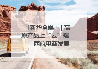 新华全媒+｜高原产品上“云”端——西藏电商发展一线观察