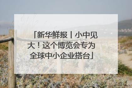 新华鲜报丨小中见大！这个博览会专为全球中小企业搭台