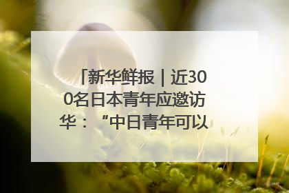 新华鲜报｜近300名日本青年应邀访华：“中日青年可以创造更好的未来”
