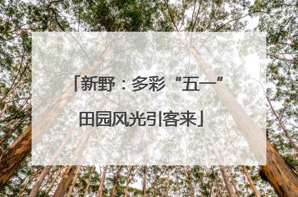 新野：多彩“五一” 田园风光引客来