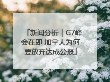 新闻分析｜G7峰会在即 加拿大为何要放弃达成公报