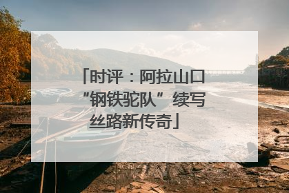 时评：阿拉山口“钢铁驼队”续写丝路新传奇